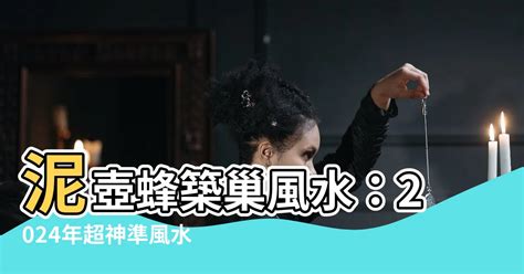 泥壺蜂築巢風水|經常在你家築巢的蜂類